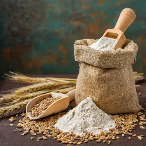 Farine de seigle bio
